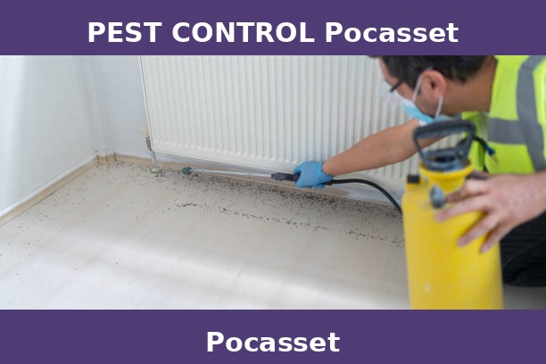 PEST CONTROL Pocasset